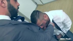 Emir Boscatto - The Book Buff, Editors Cut