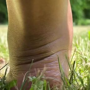 Stepmommy Barefoot Outside Plays in the Grass