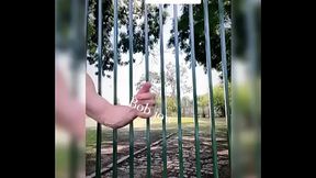 Bob Jow gat&atilde_o