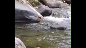 I played with my cock on river until I cum
