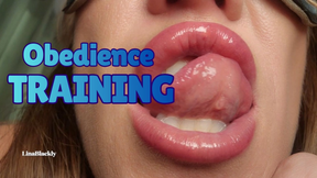 Sniff My Smelly Ass &amp; Swallow Spit - Obedient Slut Training