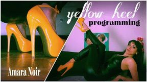 Yellow Heels Programming