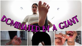 Dominated by a giant