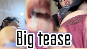 Little friend and big kitten provocation