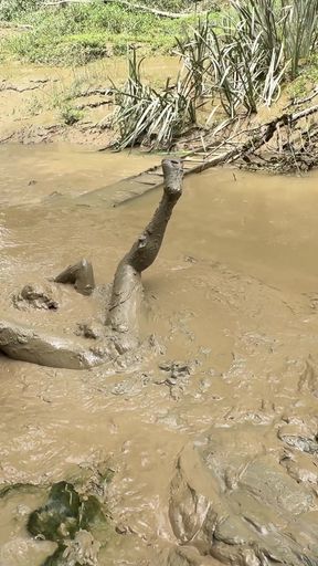 BURIED IN MUD   Clip 1