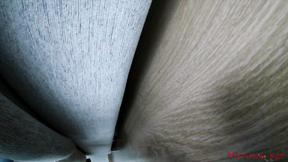 ”Femdom socks & feet worship (POV)”