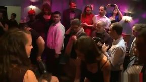 Ponygirl in public disgrace