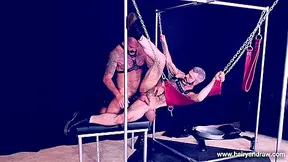Harness Fun
