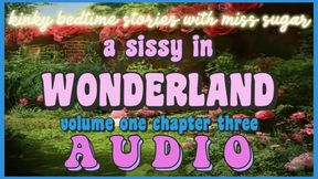 A Sissy in Wonderland, Chapter Three