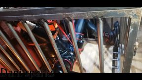 Caged Pup in for his Milking session