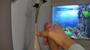 Hot Young Guy Wanks His Nice Big Cock Until He Cums Slowly in Front of the Aquarium