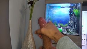 Hot Young Guy Wanks His Nice Big Cock Until He Cums Slowly in Front of the Aquarium