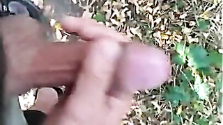 Arm Ease in the Park