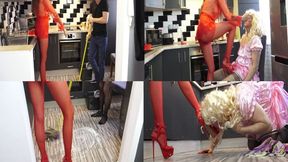 Young MIstress Houseslave 50