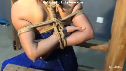 Chinese Arm Harness