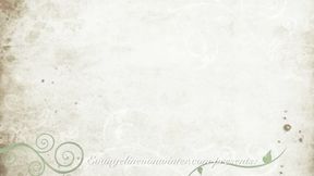 Panyhose Hooters Girl Blowjob Play