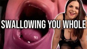 Swallowing My Tiny Fan