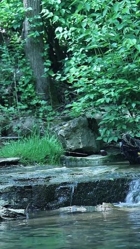 Flexing by the Waterfall, Trying to Sneak a Little Private Moment…