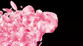 Rosie' s Sensual Eroticism: Behind The Scenes Drip For YOU