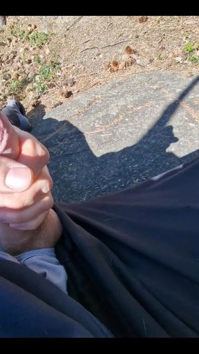 Small Break From Yard Work