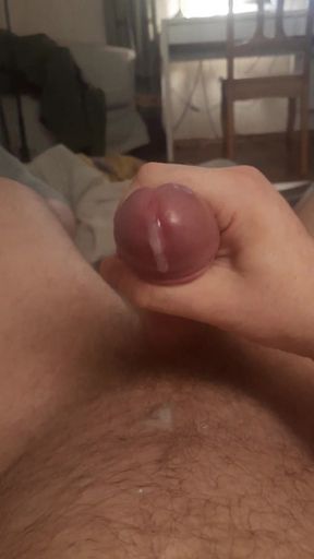 Evening Cum