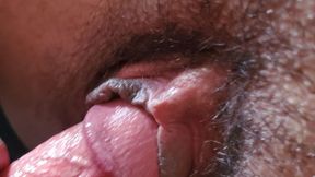 Used, Bred, and Leaking