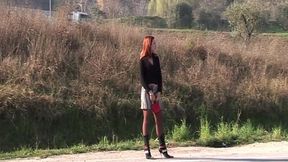 Tattooed MILF Picked up for Car Blowjob and Bed Pounding