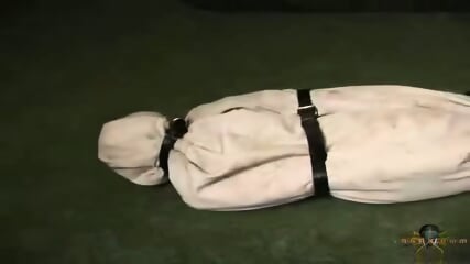 Insex 2000 04 21 Sapling Love  Kinky4Ever