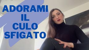 ADORAMI IL LATO B E RICEVI I MIEI INSULTI