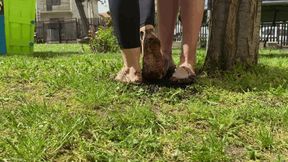 FOOTSIE IN THE MUD - MP4 HD