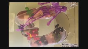 New Goddess Aurablue21 Halloween Party Shrunken Guest Trample (underglass view ) part 1