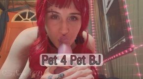 Pet4Pet BJ