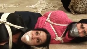 Samantha and Gina Rae bound and gagged totally helpless when a Swindle goes wrong