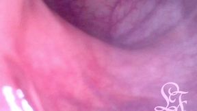 you can swim through her ass when it gets filled with water