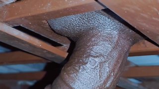 Flashing genitals at home and urination through window