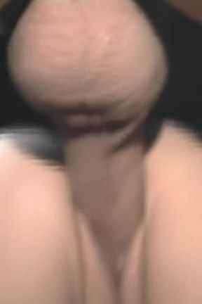 Vulgar Capricious Pig