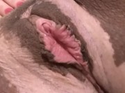Pink fat Latina  pussy masterbating!!