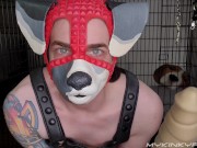 Pongo Dongo Dildo Unboxing/Review - JohnThomasToys