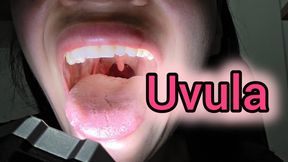 Uvula examination with a flashlight