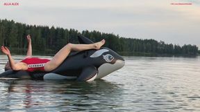 A fun ride on an inflatable whale and jumping into the water