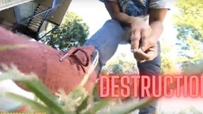 Giantess Crew – CJ – Destruction