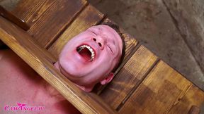 A Terror Bunny Rarely Comes Alone.