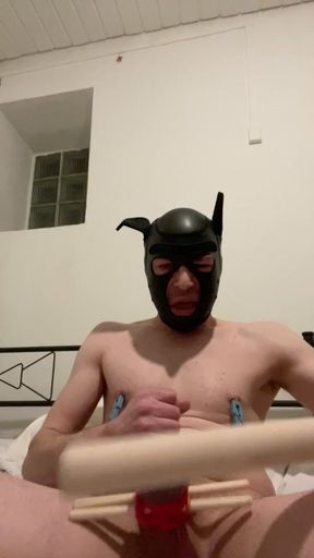 Crossdresser slavebitch ballbusting