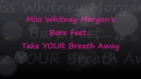 Miss Whitney Morgan's Feet Take Your Breath Away mp4