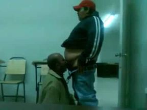 Fat Daddy Bear Sucks Chub