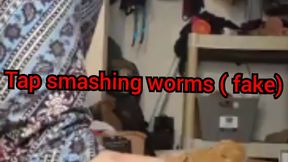 Worm tapping smash JOI