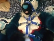 Pawing off in a harness