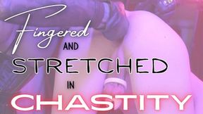 Fingered and Stretched in Chastity