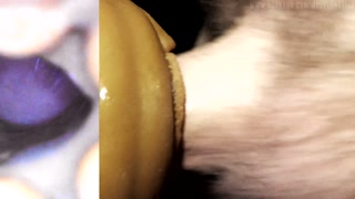 Whore Hole + Cum Pole = Cum Hole: Fleshlight internal camera.