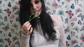 Welcome to the Bliss